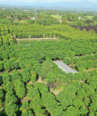 第七基地 第七基地